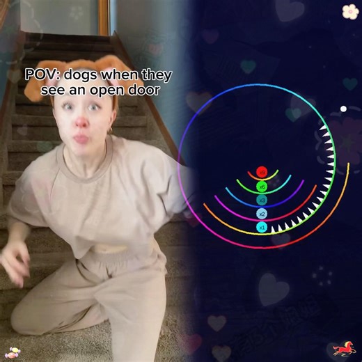 POV dogs when they see an open door