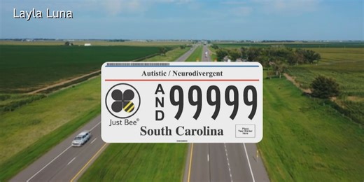 S.C. license plate aims to improve safety for those with autism