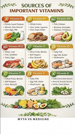 Top Food Sources of Essential Vitamins 🥕🥚 | Science-Backed Nutrition