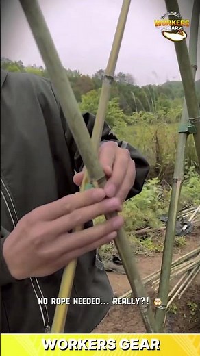 Smart Plant Support Technique Using Bamboo Stakes and Clip Connectors for Stable Growth