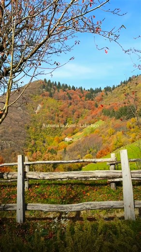9K views · 349 reactions | Autumn in Zone, Lake Iseo Wander through golden woods where silence whispers and every leaf tells a story. Above Lake Iseo, the paths of Zone invite you to slow down, breathe deeply, and fall in love with nature’s quiet beauty. Discover more in our blog Reel: @antocadei #visitlakeiseo #zone #lakeiseo | Visit Lake Iseo | Facebook