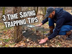 3 Time Saving Trapping Tips (671)