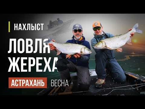 TWO FLY FISHERMEN ловля ЖЕРЕХА ВЕСНОЙ. Рабочие СТРИМЕРЫ, оснастка и тактика ловли.
