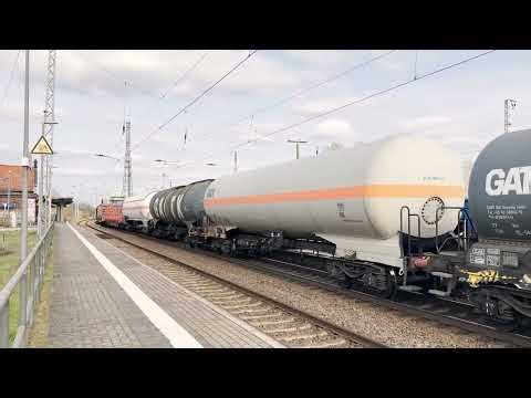 Sichtungen aus Biederitz bei Magdeburg vom 29.03.2025