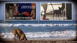 2.7K views · 17 reactions | Use the EzyDog Convert Saddle Bags to construct a versatile dog backpack system. All the practicality and trail readiness of the Convert Harness plus cargo capacity. https://www.ezydog.co.za/product/convert-saddle-bags/ #EzyDog #ConvertSaddleBags #NowGoAndPlay | EzyDog South Africa | Facebook