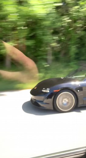 Hayden Stephens on TikTok