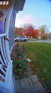 Grandma Fights Deer! | Extreme Living