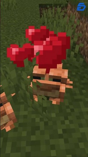 How to Breed Frogs in Minecraft