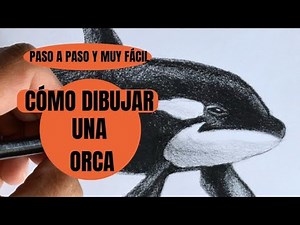 How to Draw a Realistic Orca Step by Step Very Easy.😃✍👌 In Real Time 😱.