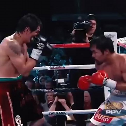 8 division word champion | gakaraiya vlog