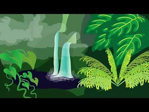 CC Cycle 2, Seven Biome Types