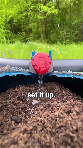 Maximize Your Berry Harvest With Vertical Hydroponics