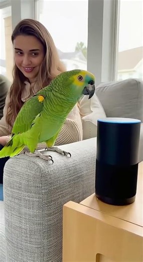 Parrot: “Alexa, order pizza!”Alexa: That’s why your boyfriend left you for Siri 💀😂🦜Owners = DEAD.