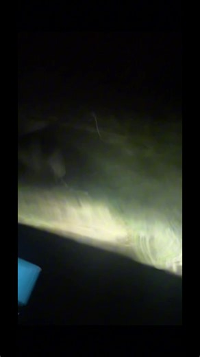 Retour difficile après une soirée : soyez prudents !