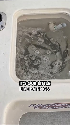 Wilson Fishing's Secret Weapon for Live Bait | Tackling Australia