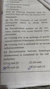 (1) Centromere(2)'Synaptonemal complex(3) Spindle fibers(4) ... | Filo