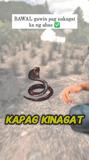 BAWAL gawin pag nakagat ka ng ahas ✅ #tsipchristianvlog #kinagatngahas #bawalgawin | Tsip Christian Vlog