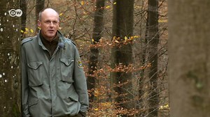 Protecting Germany's old forests