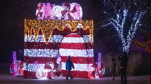 Cleveland Metroparks Zoo welcomes return of Wild Winter Lights for 2023 holiday season