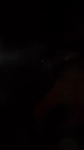 Wainwright Haunted house on Reels