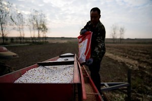 China agriculture group warns of tighter phosphate export rules as prices surge