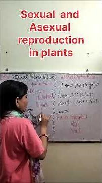 Sexual and Asexual reproduction in plants #kidseducation #scienceforkids