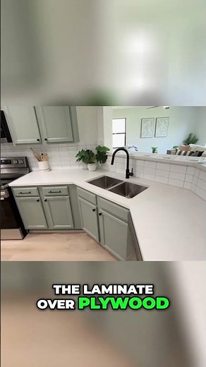 Modern Kitchen Remodel: Quartz Countertops & Sage Green Cabinets