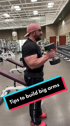 Tips for Building Big Arms with Armon Adibi