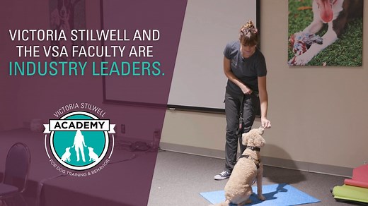 5.1K views · 37 reactions | ✨ Victoria Stilwell Academy for Dog...