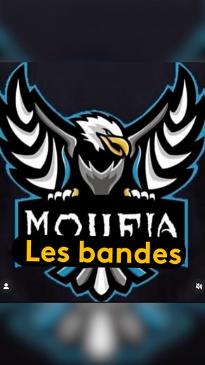 Ces bandes qui sévissent à La Réunion. Plus d'infos sur le site de RéunionLa1ère | Réunion la 1ère