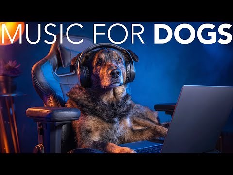 10 HOURS of Dog Relaxing Music 💖🦮 Music for Dogs: Anti-Anxiety, Relaxation, Peace, and Sleep