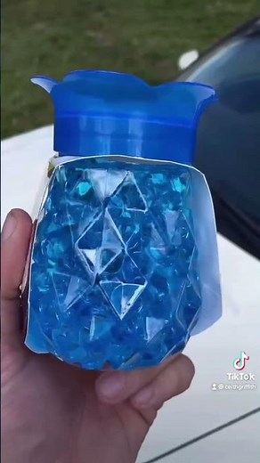 How to keep mice out of your car!