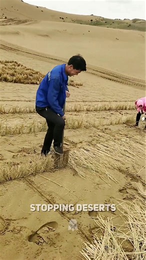 How China Stops Deserts.