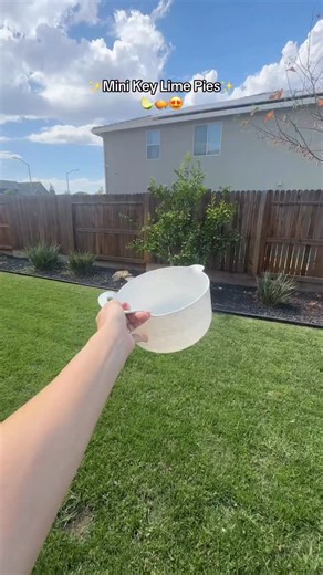 5.3K views · 45 reactions | TINY SLICES ‍不 Have you seen a cuter mini pie? Technnnnically these aren’t “key lime” pies because that’s a specific variety of lime from Key West BUT “lime pie” doesn’t sound as yummy  #keylimepie #miniature #baking #recipe #pie | Crumbs Cutters | Facebook