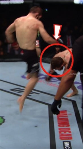 Khabib: LOCATION 🤣🤣🤣 #ufc #mma #fight #reels | Bang Kento