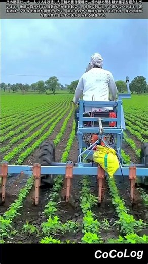 改造バイク農作業機で行う効率的な畑の畝間耕起作業 #worker #process #farming #agriculture #cultivator
