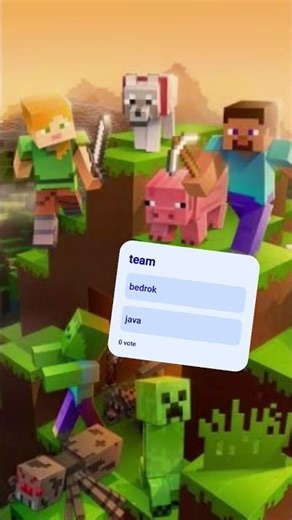 alors team java ou bedrok