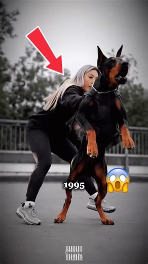 Your birth year has a dog part 1 😱