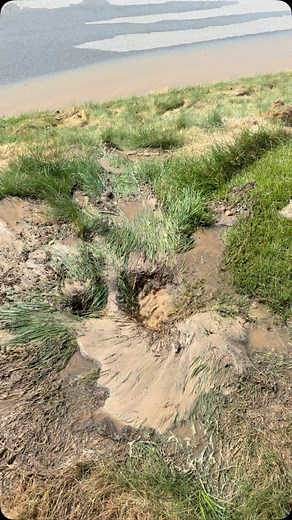 On The Course Golf Maintenance on Instagram: "I blame this one on the installer (it was me) #golfcoursemaintenance #turf #golfcourse #golf #onthecourse"