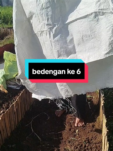 Cara Maksimal Menggunakan Bedengan dalam Berkebun