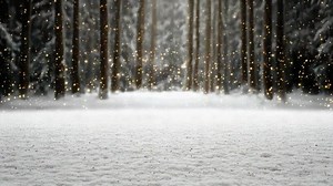 Download Winter forest background with snow and lights for free