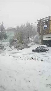 Neghar Yahia on Reels