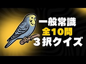 【一般常識５７】３択クイズ【脳トレ】
