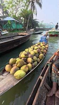 Uncle brings coconuts to the floating market by loading a boat