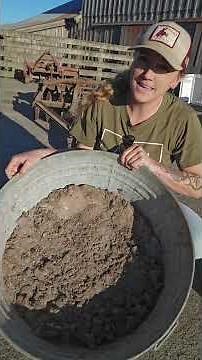 Keep the mites at bay with this super simple chicken dust bath recipe. #chickens #dustbath