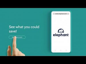 Elephant | Searching for Car Insurance?