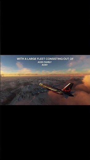 The most realistic Virtual Airline!