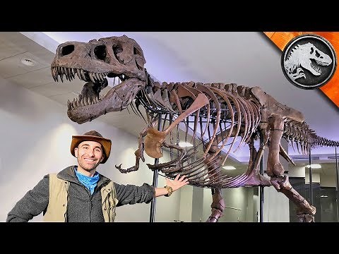 Jurassic World Explorers: WORLD’S BIGGEST T-REX! | Jurassic World