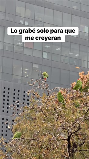 Cuando la naturaleza te sorprende de la nada 😱 | Mundo Curioso.