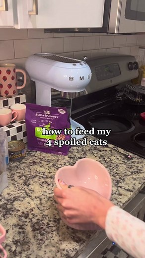 How to Prepare Homemade Meals for Your Cats